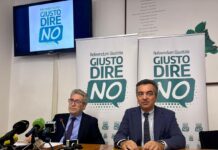 Comitato per il No - Antonio Diella, Enrico Grosso